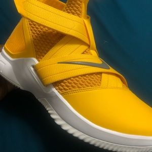 Nike Lebron Xll soilders